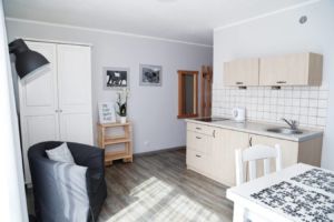 TRĄBA SŁONIA - apartament 2 os.