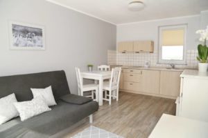 ZEBRY PASKI, aneks - apartament 4 os.