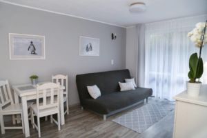 PINGWINA FRAK, salon - apartament 4-5 os.